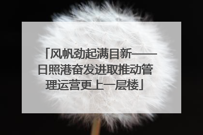 风帆劲起满目新——日照港奋发进取推动管理运营更上一层楼