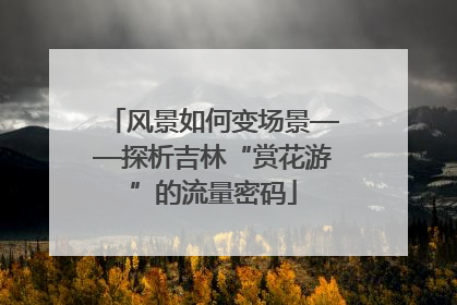 风景如何变场景——探析吉林“赏花游”的流量密码