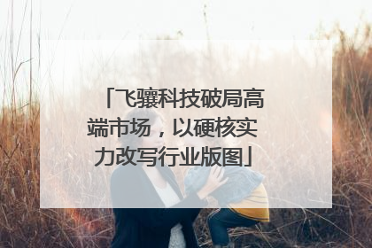 飞骧科技破局高端市场，以硬核实力改写行业版图