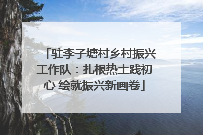 驻李子塘村乡村振兴工作队：扎根热土践初心 绘就振兴新画卷
