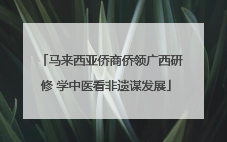 马来西亚侨商侨领广西研修 学中医看非遗谋发展