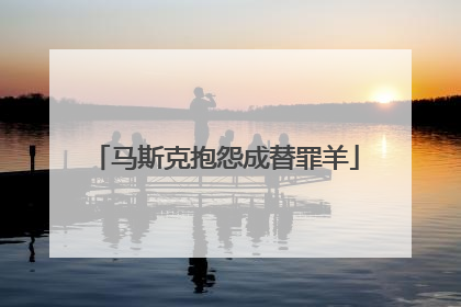 马斯克抱怨成替罪羊