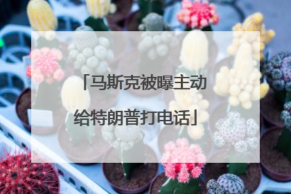 马斯克被曝主动给特朗普打电话