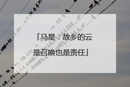马星：故乡的云是召唤也是责任