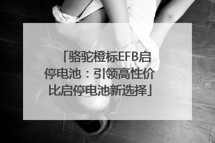 骆驼橙标EFB启停电池：引领高性价比启停电池新选择
