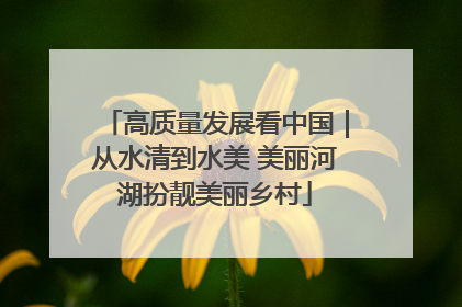 高质量发展看中国｜从水清到水美 美丽河湖扮靓美丽乡村