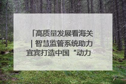 高质量发展看海关｜智慧监管系统助力宜宾打造中国“动力电池之都”