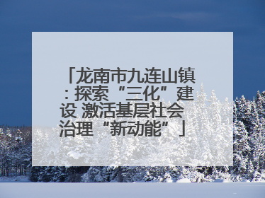 龙南市九连山镇：探索“三化”建设 激活基层社会治理“新动能”