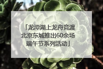 龙潭湖上龙舟竞渡 北京东城推出60余场端午节系列活动