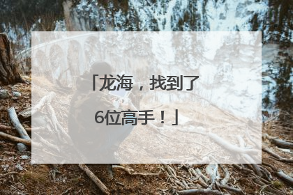 龙海，找到了6位高手！