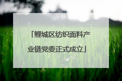 鲤城区纺织面料产业链党委正式成立