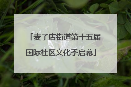 麦子店街道第十五届国际社区文化季启幕