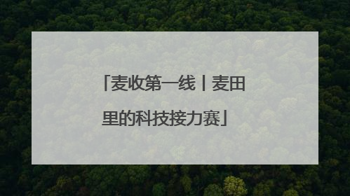 麦收第一线丨麦田里的科技接力赛