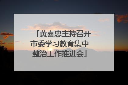 黄喜忠主持召开市委学习教育集中整治工作推进会