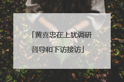黄喜忠在上犹调研督导和下访接访