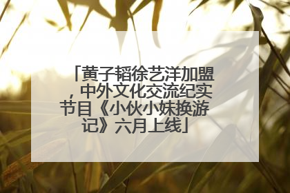 黄子韬徐艺洋加盟，中外文化交流纪实节目《小伙小妹换游记》六月上线