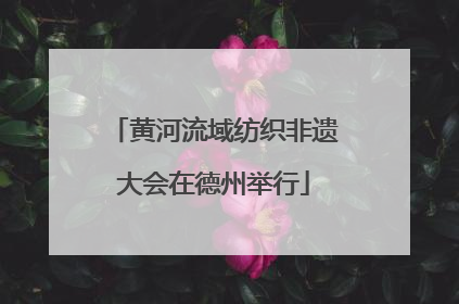 黄河流域纺织非遗大会在德州举行