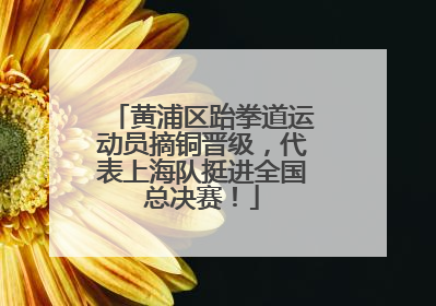 黄浦区跆拳道运动员摘铜晋级，代表上海队挺进全国总决赛！