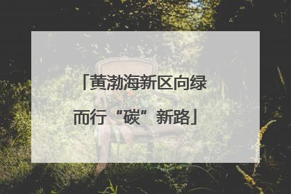 黄渤海新区向绿而行“碳”新路