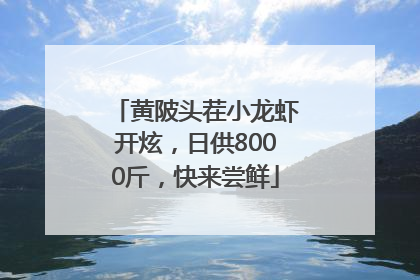 黄陂头茬小龙虾开炫，日供8000斤，快来尝鲜