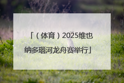 （体育）2025维也纳多瑙河龙舟赛举行
