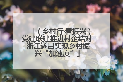 （乡村行·看振兴）党建联建推进村企结对 浙江遂昌实现乡村振兴“加速度”
