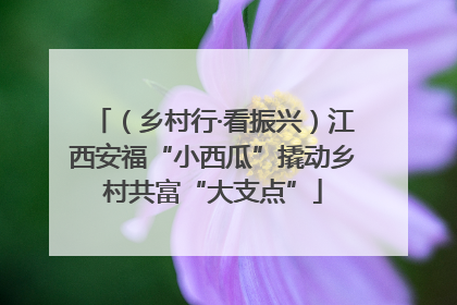 （乡村行·看振兴）江西安福“小西瓜”撬动乡村共富“大支点”