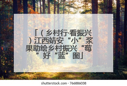 （乡村行·看振兴）江西靖安“小”浆果助绘乡村振兴“莓”好“蓝”图