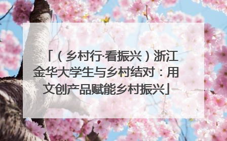 （乡村行·看振兴）浙江金华大学生与乡村结对：用文创产品赋能乡村振兴