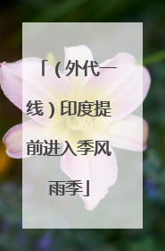 （外代一线）印度提前进入季风雨季