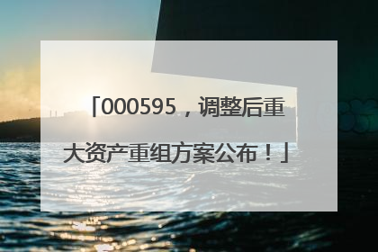 000595，调整后重大资产重组方案公布！