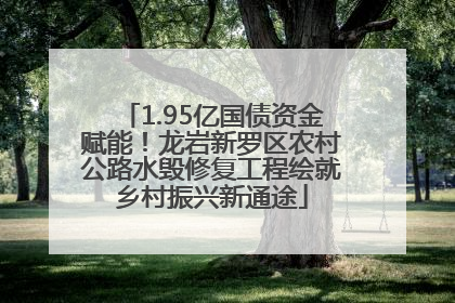 1.95亿国债资金赋能！龙岩新罗区农村公路水毁修复工程绘就乡村振兴新通途