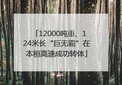 12000吨重、124米长“巨无霸”在本桓高速成功转体