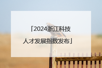 2024浙江科技人才发展指数发布