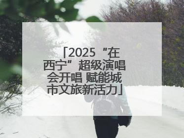 2025“在西宁”超级演唱会开唱 赋能城市文旅新活力