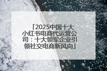 2025中国十大小红书电商代运营公司：十大领军企业引领社交电商新风向