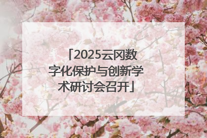 2025云冈数字化保护与创新学术研讨会召开