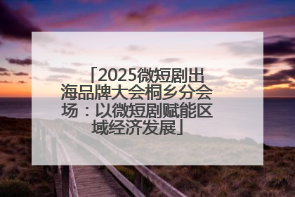 2025微短剧出海品牌大会桐乡分会场：以微短剧赋能区域经济发展