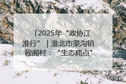 2025年“政协江淮行”｜淮北市渠沟镇程阁村：“生态痛点”变“生态景观”