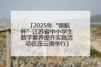 2025年“领航杯”江苏省中小学生数字素养提升实践活动在连云港举行