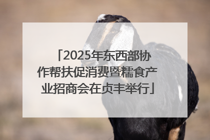 2025年东西部协作帮扶促消费暨糯食产业招商会在贞丰举行