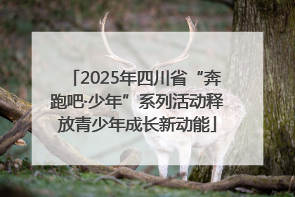 2025年四川省“奔跑吧·少年”系列活动释放青少年成长新动能