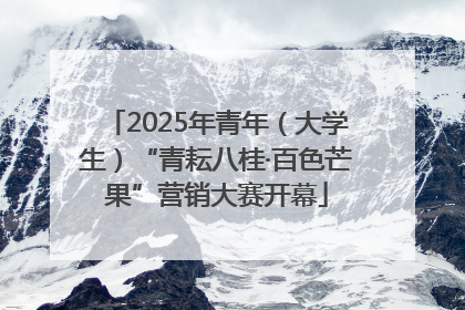 2025年青年（大学生）“青耘八桂·百色芒果”营销大赛开幕