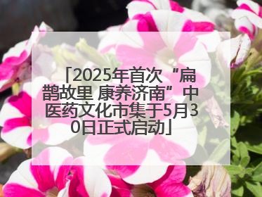 2025年首次“扁鹊故里 康养济南”中医药文化市集于5月30日正式启动
