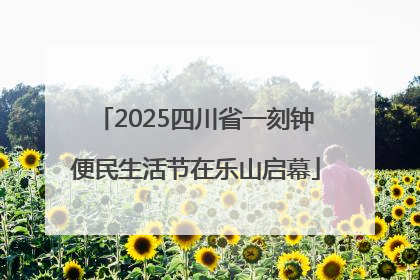 2025四川省一刻钟便民生活节在乐山启幕