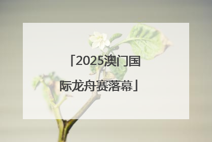 2025澳门国际龙舟赛落幕