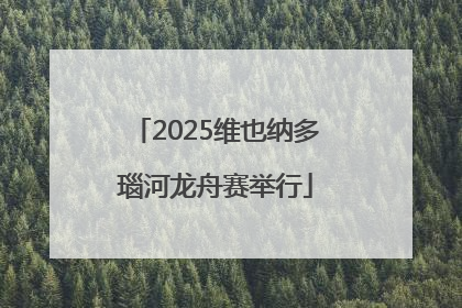 2025维也纳多瑙河龙舟赛举行