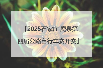 2025石家庄·鹿泉第四届公路自行车赛开赛