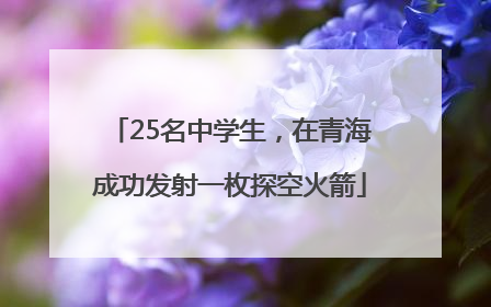 25名中学生，在青海成功发射一枚探空火箭