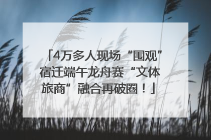 4万多人现场“围观” 宿迁端午龙舟赛“文体旅商”融合再破圈！